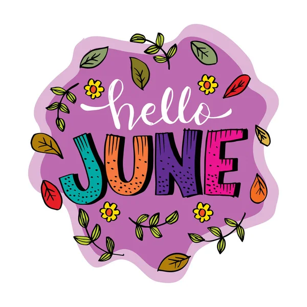 Hola Letras Mano Junio Tarjeta Felicitación — Vector de stock