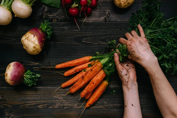 Bio zelenina. Farmer's ruce hospodářství sklizená mrkev na tmavé dřevěné pozadí, pohled shora — Stock fotografie