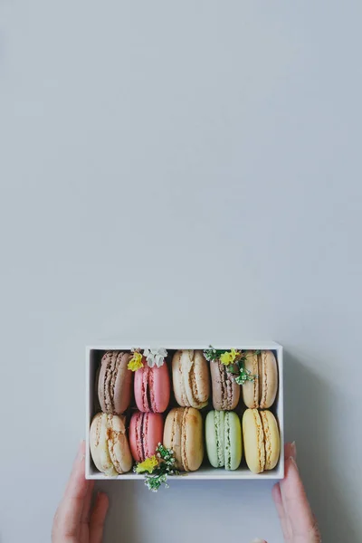 Hands holding gift box with delicious macaroons on the light blue background, top view — Stock Photo, Image