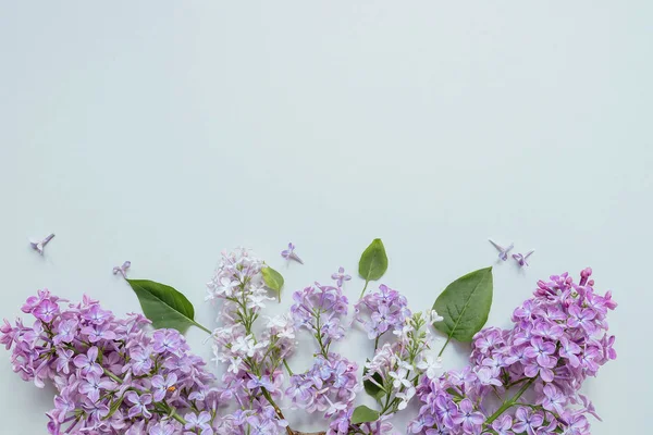 Composición de flores. Fondo tierno. Hermosas flores de color lila fresco sobre fondo gris — Foto de Stock