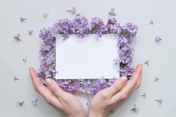 Fondo de flores con hoja de papel. Hermosas flores frescas y hojas sobre fondo gris, con espacio para copiar — Foto de Stock