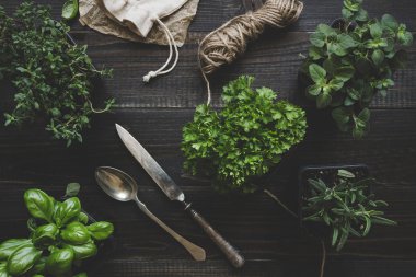 Koyu ahşap masa, üstten görünüm üzerinde taze otlar. Rustik arka plan