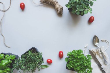 Gri arka planı, üstten görünüm taze otlar. Rustik arka plan kopya alanı ile