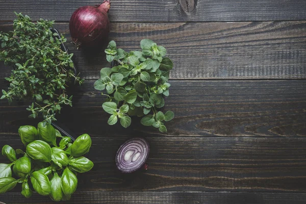 Herbes fraîches avec oignon rouge sur le fond en bois avec espace de copie — Photo