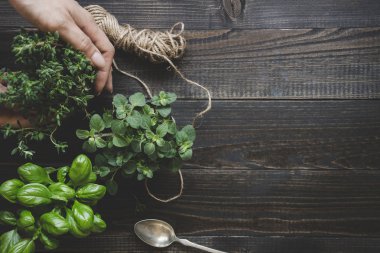 Koyu ahşap masa, üstten görünüm üzerinde taze otlar. Rustik arka plan kopya alanı ile