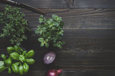 Kopya alanı ile ahşap arka plan üzerinde kırmızı soğan ile taze otlar