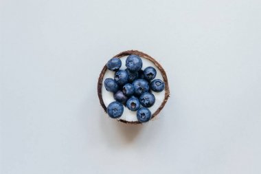 Blueberry gri arka planda, üstten görünüm ile olgun hindistan cevizi