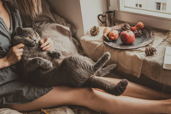 Cozy home. Woman with cute cat sitting in bed by the window — Stock Photo, Image