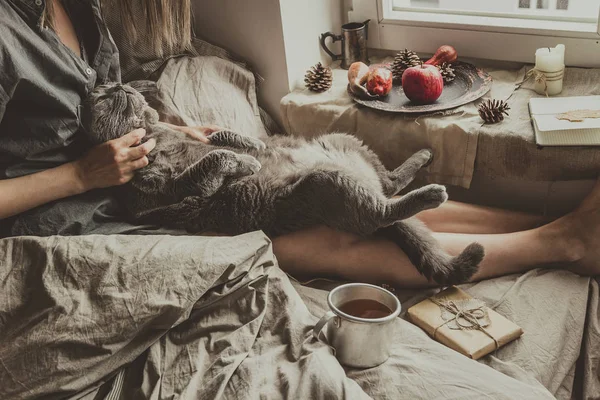 Rahat ev. Pencerenin yanındaki yatakta oturup şirin kedi kadınla — Stok fotoğraf