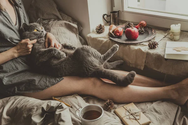 Uma casa acolhedora. Mulher com gato bonito sentado na cama pela janela — Fotografia de Stock