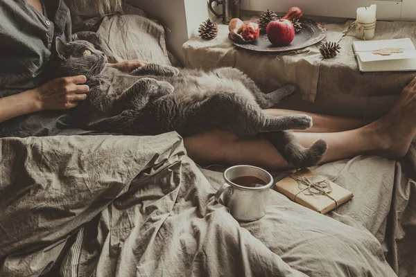 Uma casa acolhedora. Mulher com gato bonito sentado na cama pela janela — Fotografia de Stock