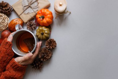 Sonbahar arka plan. Çay, gri arka plan üzerinde sonbahar dekorasyon holding eller