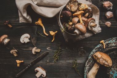 Taze karışık orman ahşap siyah masaya mantar