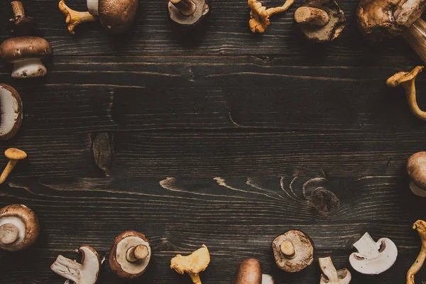 Taze mantar sınır arka plan. Kopya alanı ile Üstten Görünüm