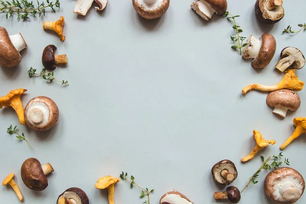 Taze mantar sınır arka plan. Kopya alanı ile Üstten Görünüm