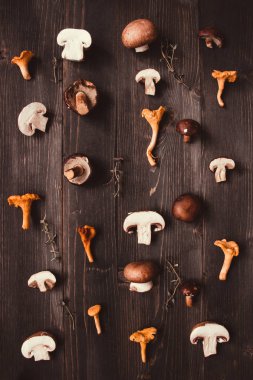 Fresh mixed forest mushrooms on the wooden background clipart