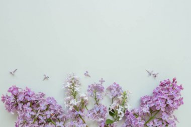 Çiçek kompozisyon. İhale arka plan. Güzel taze leylak fl