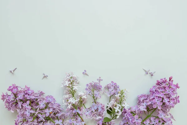Composición de flores. Fondo tierno. Hermosa lila fresca fl — Foto de Stock
