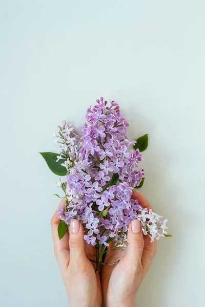 Composición de flores. Fondo tierno. Hermosa lila fresca fl — Foto de Stock