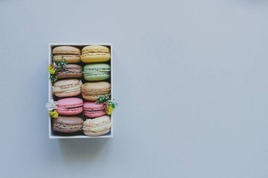 Hediye kutusu açık mavi renkli üzerinde lezzetli macaroons ile, 