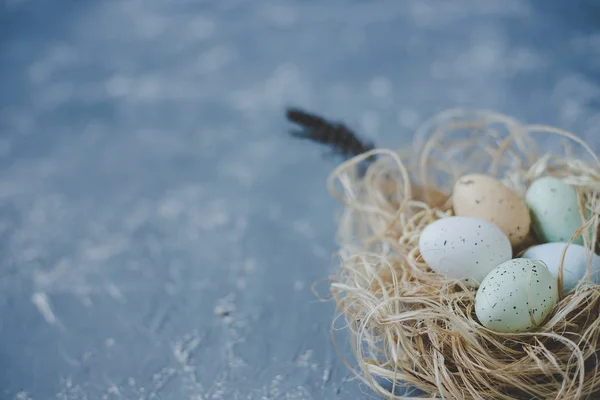 Vrolijk Pasen. Paaseieren in nest met Pasen decoratie, kopie ruimte. — Stockfoto