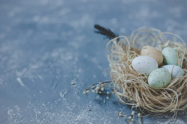 Vrolijk Pasen. Paaseieren in nest met Pasen decoratie, kopie ruimte. — Stockfoto