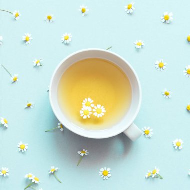 Mavi arka planda papatya çiçekleri olan papatya çayı.