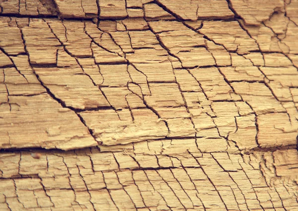 Contexte Une Écorce Naturelle Vieux Chêne Avec Des Fissures Tonique — Photo