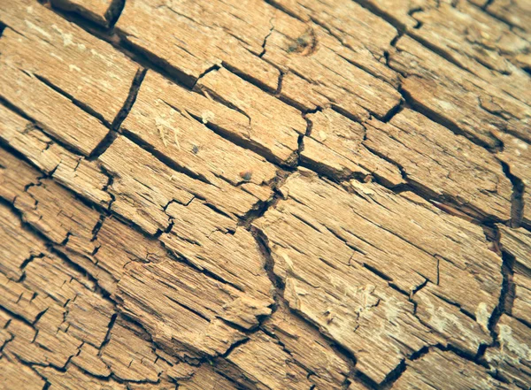 Background Natural Bark Old Oak Cracks Toned — Stock Photo, Image