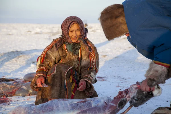 Крайний Север Ямал Приготовление Оленьего Мяса Снять Шкуру Оленя Помощник — стоковое фото