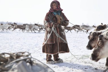 Yardımcısı Ren geyiği doğurmak, Alaska Eskimo