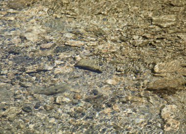 Yerin yüzeyi. Denizin arka planı