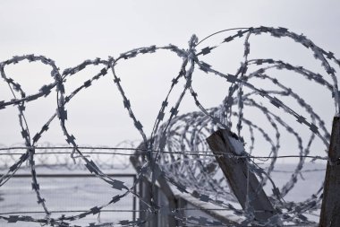 Dikenli tel, tonda. Metal çit, çit dikenli tellerle mavi gökyüzü, bölge, yasak giriş karşı
