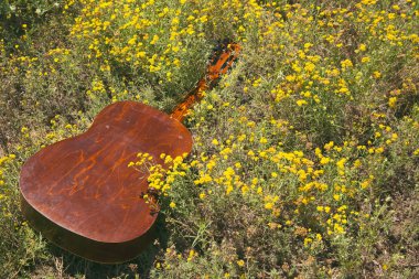 Gitar yerde yatıyor, konsept: yaz hakkında bir şarkı, rengarenk müzik, bir çiçek bahçesi