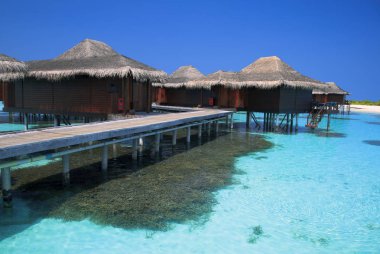 Egzotik tatil köyünün güzel manzarası, Maldivler, palmiye ağaçları,