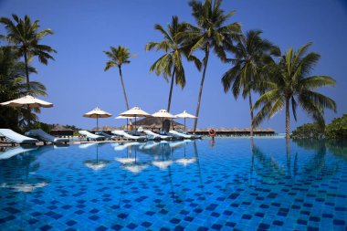 Egzotik tatil köyünün güzel manzarası, Maldivler, palmiye ağaçları,