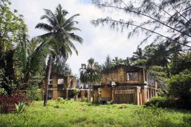 Fırtınadan sonra yıkılmış ev