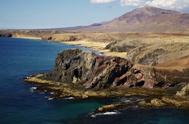 Kanarya Adaları, Tenerife, Papağan Körfezi