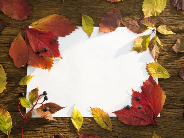 Thanksgiving background:  pumpkins and fallen leaves on wooden background.Autumn leaves frame with wood background