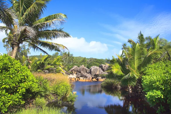 Beautiful View Rocks Palm Trees Seychelles — Stockfoto