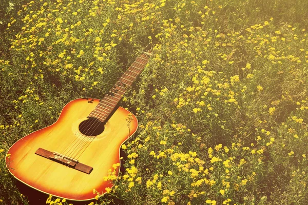The guitar lies on the ground, the concept: a song about summer, music in colors, a flower garden, toned
