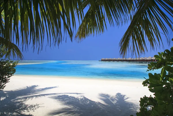 Beautiful View Exotic Resort Maldives Palm Trees Azure Ocean Blue — Stock Photo, Image