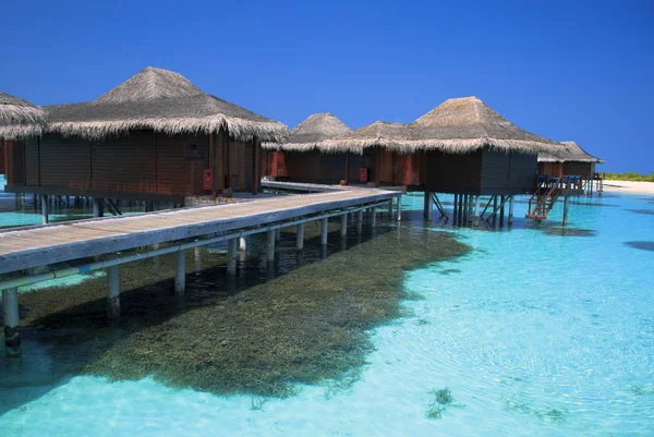 Красивый Вид Экзотический Курорт Мальдивы Пальмы — стоковое фото