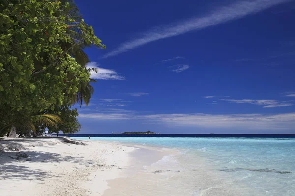 Beautiful View Exotic Resort Maldives Palm Trees — Stock Photo, Image