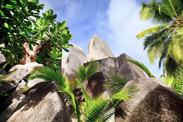 Seychellen Eiland Met Oceaan Bomen Reisconcept — Stockfoto