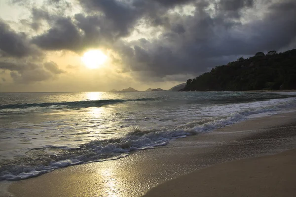 Ilha Seychelles Com Oceano Árvores Conceito Viagem — Fotografia de Stock