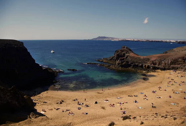 Canary Islands Tenerife Parrot Bay — Stock Photo, Image