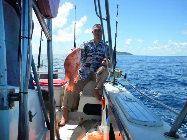 Морська Рибалка Сейшельських Островах Пійманий Спіймати Червоний Окунь Акула Campeche — стокове фото