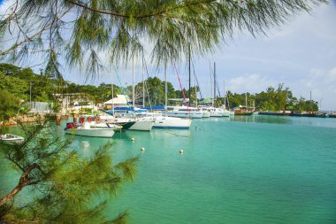  Seyşeller'de yatlı güzel koy