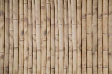 Duvar, bambu arka plan
